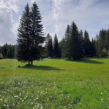Wooden Cottage Podgora Žabljak Kültér fotó